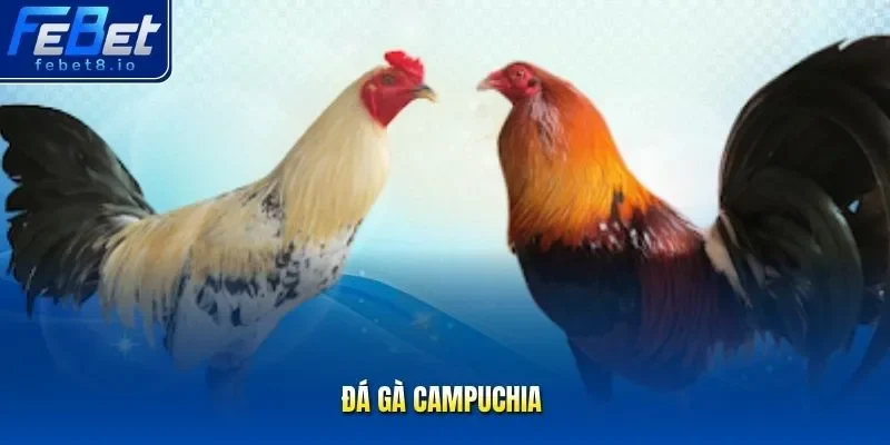 đá gà Campuchia