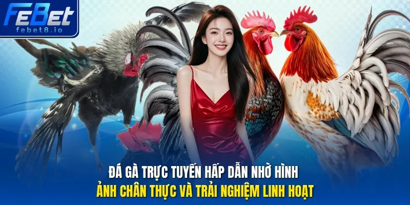 Đá gà trực tuyến hấp dẫn nhờ hình ảnh chân thực và trải nghiệm linh hoạt.